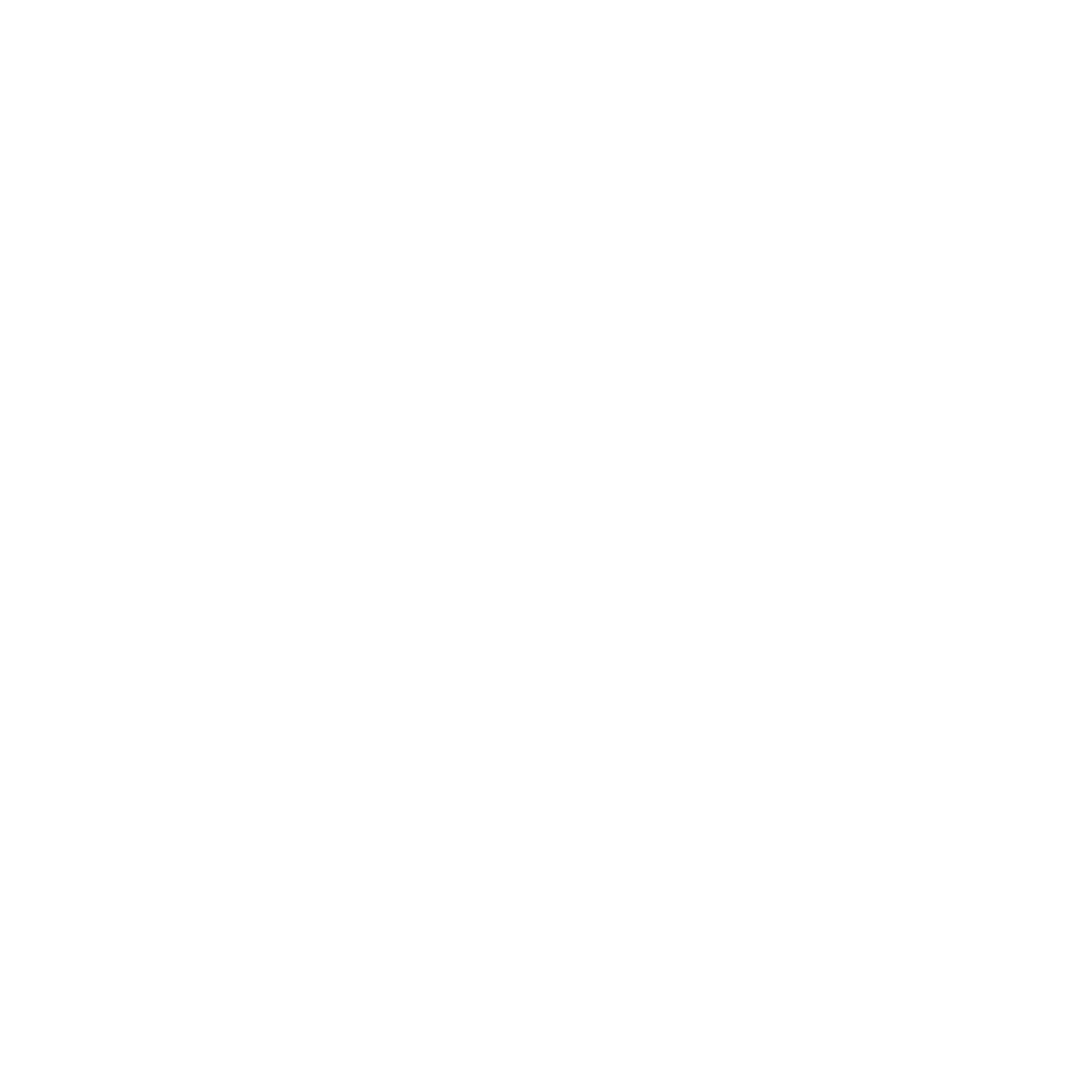 Neumann Partners